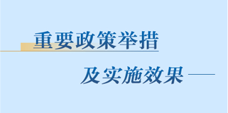 重要舉措及實施效果